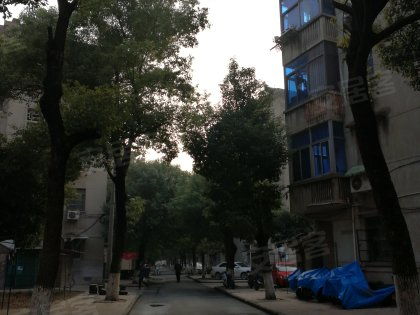 戚廠工房北區(qū)深度解析 居住優(yōu)勢與不足，以及周邊經(jīng)紀人專業(yè)評價
